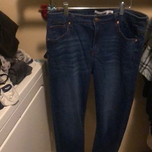 EUC Celebrity Pink Curvy Skinny jean, size 15.